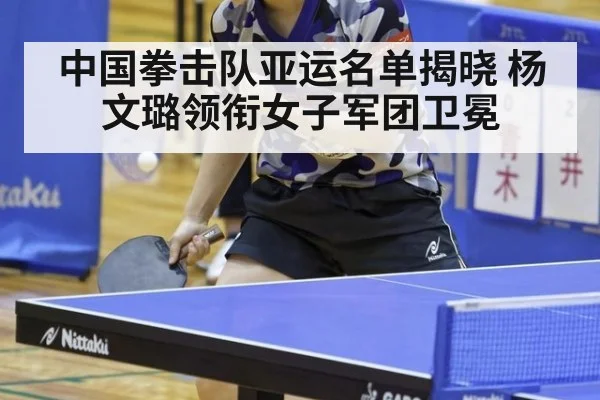 中国拳击队亚运名单揭晓 杨文璐领衔女子军团卫冕
